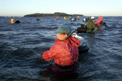 Mariscadores en los Lombos do Ulla, en la R&iacute;a de Arousa en 2010, con la Illa Cortegada al fondo.