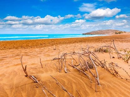 Las dunas f&oacute;siles del parque regional de Calblanque, en la costa de Cartagena (Murcia), enmarcan una de las &uacute;ltimas playas v&iacute;rgenes de Levante. 