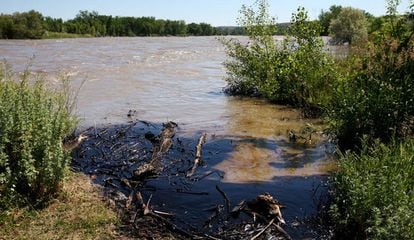 Restos de petróleo en un área inundada por la crecida del río.