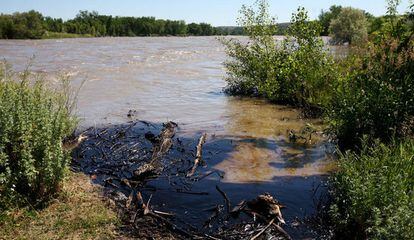 Restos de petróleo en un área inundada por la crecida del río.