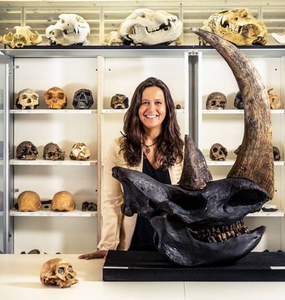 María Martinón posa con los restos de un rinoceronte lanudo, de entre 10.000 y 350.000 años de antigüedad.
