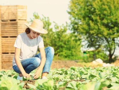 Realizar trabajos de jardinería durante la baja es posible si no perjudican la curación