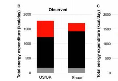 Gráfico comparativo del estudio que muestra las calorías consumidas por día de un niño shuar y de un niño de EE UU.