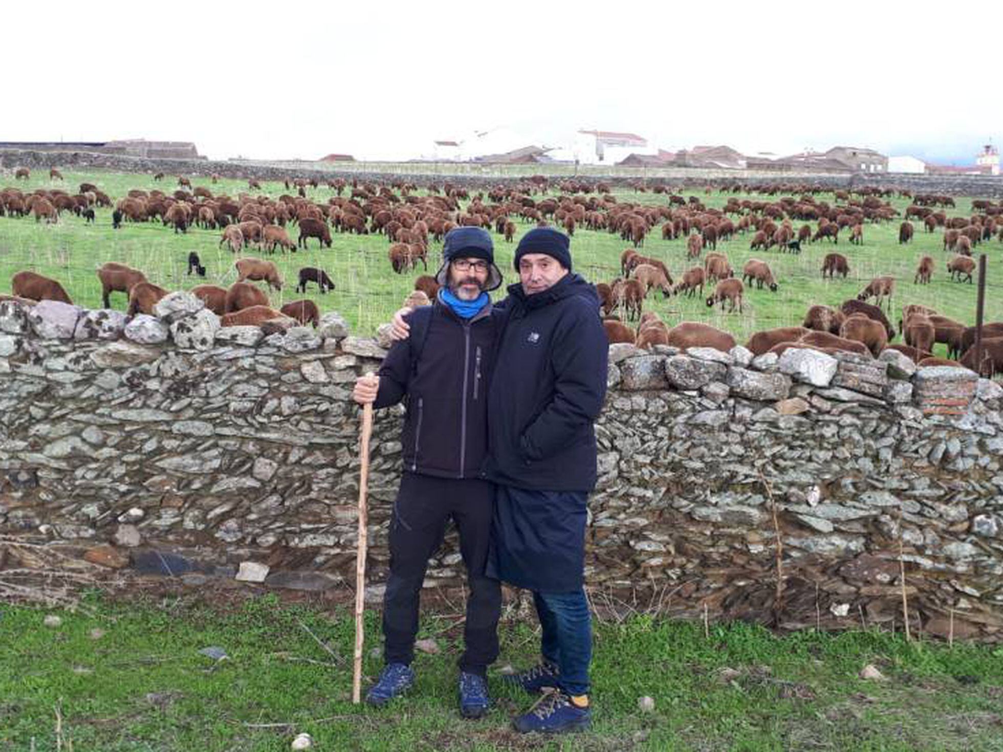 Los artistas que se hicieron pastores de un reba o de ovejas