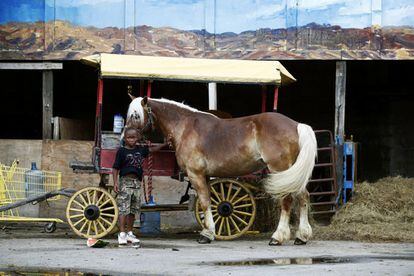 Un niño pequeño acaricia un caballo en un establo arabber en Baltimore. Los arabistas que han sobrevivido en la ciudad trabajan en tres establos con licencia ubicados en áreas donde la comida saludable es escasa.