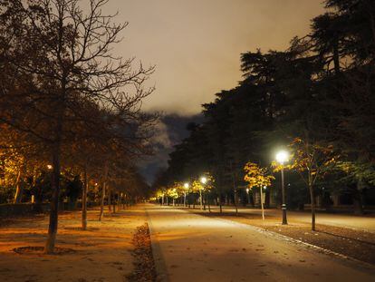 Uno de los paseos del parque del Retiro, en Madrid, en 2021.