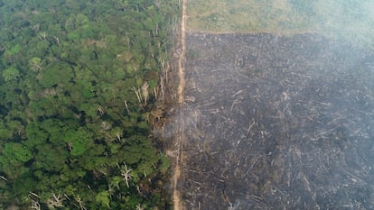 Vista general de un tramo de la selva amazónica que arde cuando los madereros y agricultores la talan cerca de Apui, Brasil, el 11 de agosto de 2020.
