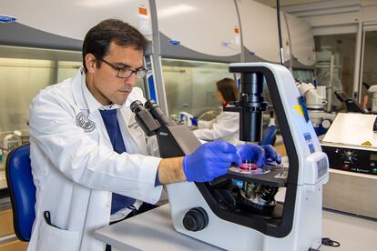 El investigador Miguel Flores-Bellver, en el laboratorio del CellSight de la Universidad de Colorado (EE UU). Al fondo, Valeria Canto-Soler.