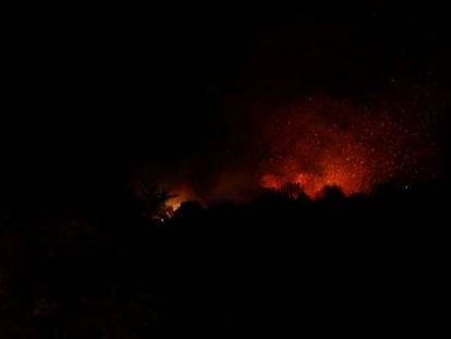 Extinguido el incendio de Collserola, que ha quemado 3,3 hectáreas