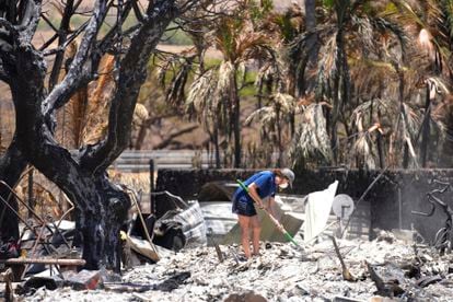 Una mujer cava entre los escombros de una casa destruida por el incendio forestal, este viernes 11 de agosto, en Lahaina (Hawái). 