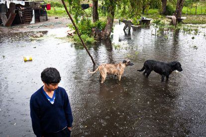 Uno de los ocho hijos de Omar, junto a sus perros en los alrededores de su casa, todavía anegados tres días después de las inundaciones. Fue uno de los que se negaron a abandonar la casa a pesar de la crecida del río.