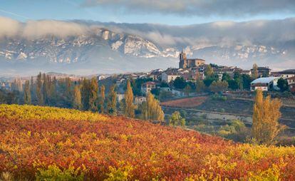 Colores de otoño en Rioja Alavesa con la silueta de Navaridas y la sierra de Cantabria al fondo.