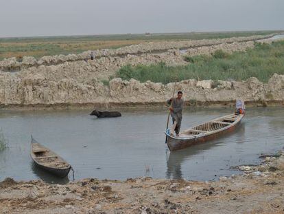 Un iraquí cruza una marisma en el sur de Irak.