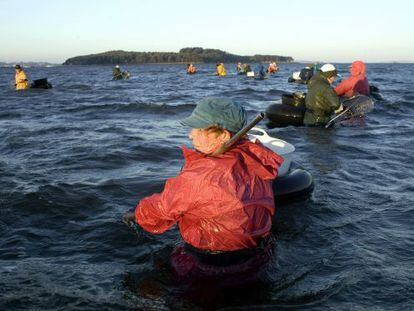 Mariscadores en los Lombos do Ulla, en la R&iacute;a de Arousa en 2010, con la Illa Cortegada al fondo.