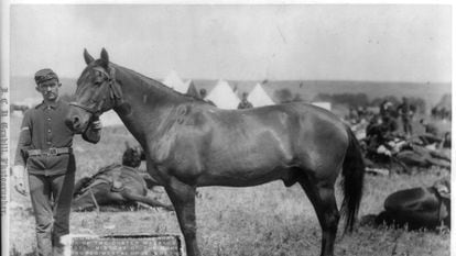 'Comanche' en una foto de su época como celebridad tras sobrevivir a la batalla de Little Bighorn.