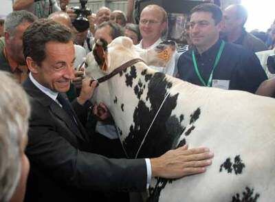 Sarkozy acaricia a una vaca en el Salón Internacional de Cría de Rennes (Francia).