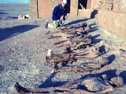 Arthur C. Aufderheide, el gran especialista estadounidense en momias y pionero de su estudio al que ha homenajeado el congreso, en las excavaciones en el oasis egipcio de Dahkleh en los 90. 