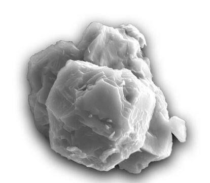 One of the analyzed silicon carbide grains seen with a scanning electron microscope.