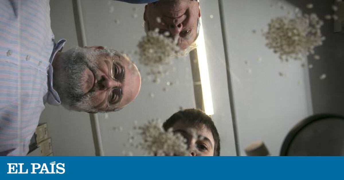 elpais.com