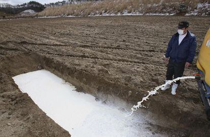 Un hombre vierte leche contaminada con partículas radiactivas en una zanja en la tierra, cerca de la localidad de Fukushima.