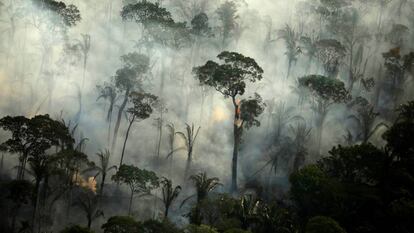 Incendio en un área de la selva amazónica cerca de Porto Velho, Estado de Rondonia (Brasil), en septiembre.
