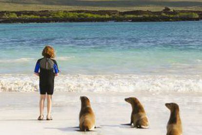 Una turista junto a tres lobos peleteros en las islas Galápagos.