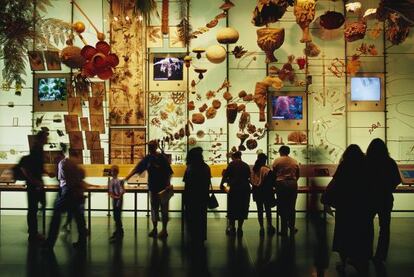 Sala de la biodiversidad en el American Museum of Natural History de Nueva York.