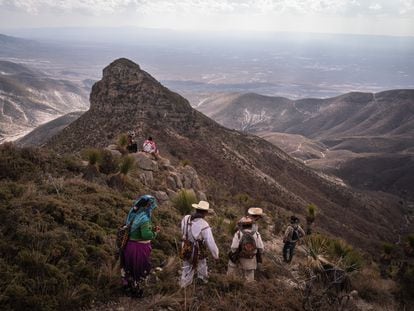 Wixárikas caminan por el desierto de Wirikuta en su peregrinación al Cerro Quemado.