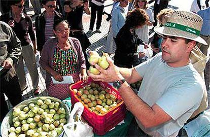 Un agricultor regala peras durante una protesta ayer en Granada por los bajos precios en origen.