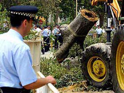 Efectivos de la Policía Local de Sevilla custodiaron ayer la tala de árboles en la Alameda de Hércules.