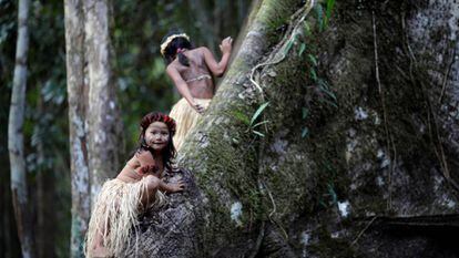 Dos niñas escalan un árbol de Sumauma en Feijó (Brasil). 