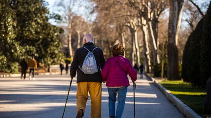 Dos personas mayores paseando de espaldas con bastón por el retiro, en Madrid.