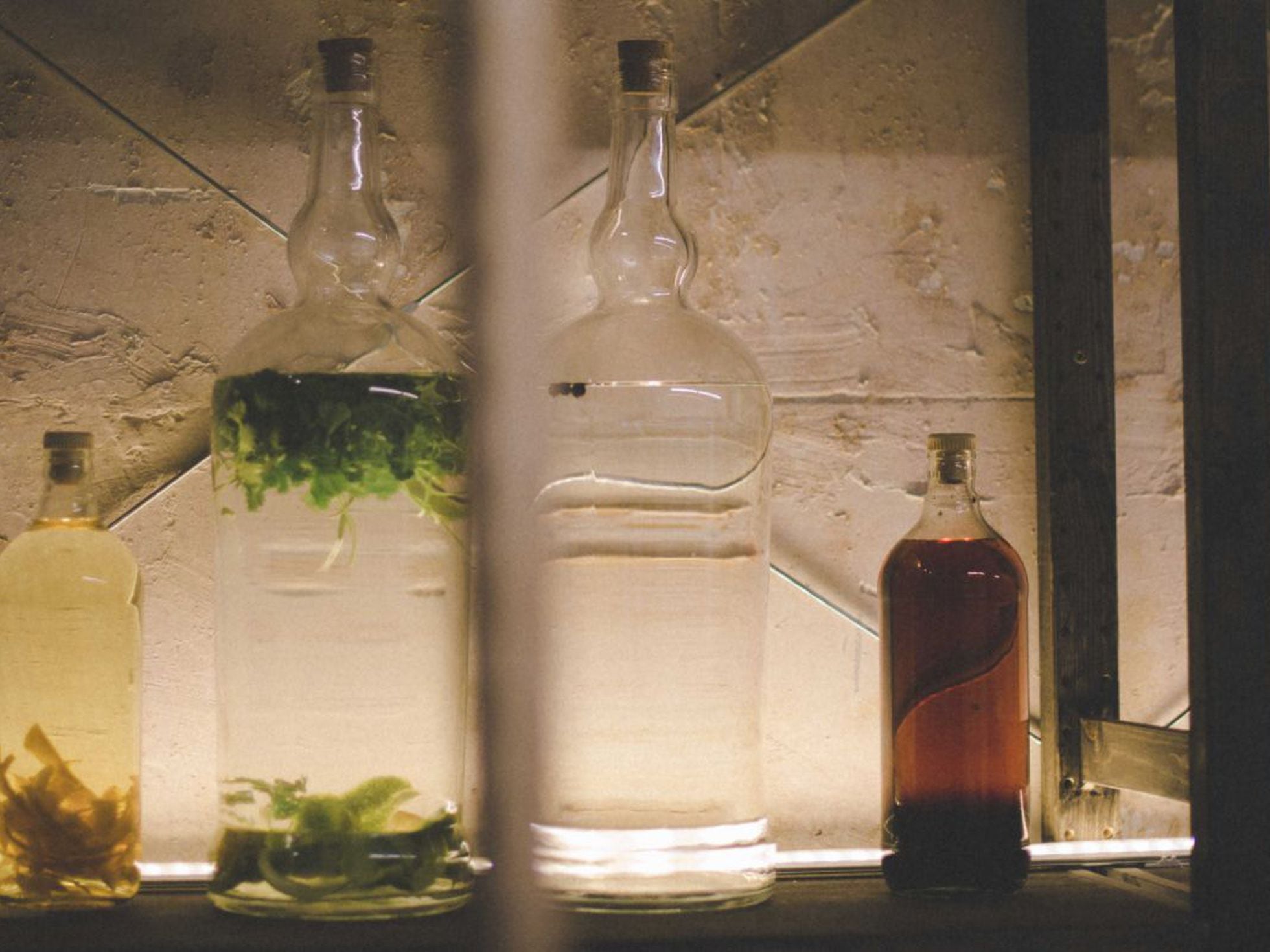 Macerar alcohol en casa | El Comidista | Gastronomía | EL PAÍS