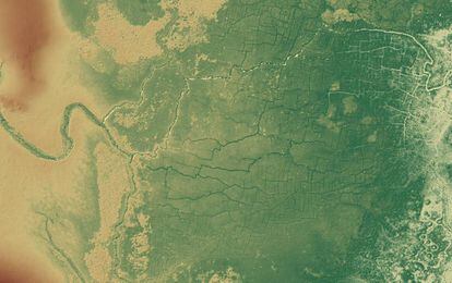 Imagen de la red de canales y campos conocida como Pájaros del Paraíso, en Belice.