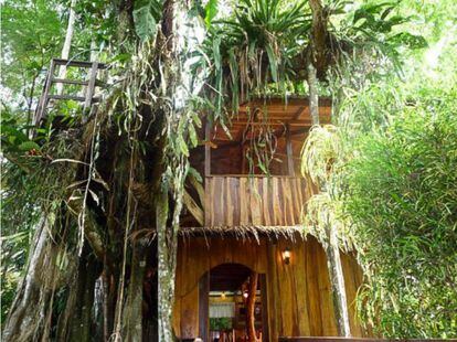 Casa en el árbol de dos pisos situada en la provincia de Limón, en Costa Rica, inspirada en aldeas en los árboles de los ewoks