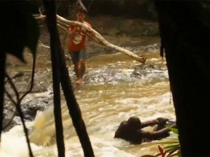 Un joven del Centro de Protección de Orangutanes de Borneo se adentra en las aguas revueltas para ayudar al animal a volver a tierra