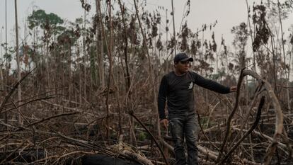 Eric Karipuna, de 24 años, observa una zona devastada dentro de la tierra indígena karipuna, en Porto Velho.