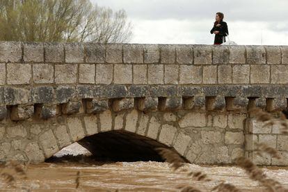 Una mujer cruza el puente medieval de Simancas en Valladolid. El río Pisuerga ha alcanzado estos días su caudal máximo desde las inundaciones de 2001.