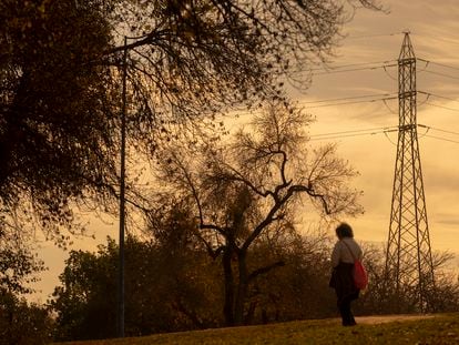 Tendido eléctrico en el Parque del Alamillo, en Sevilla.