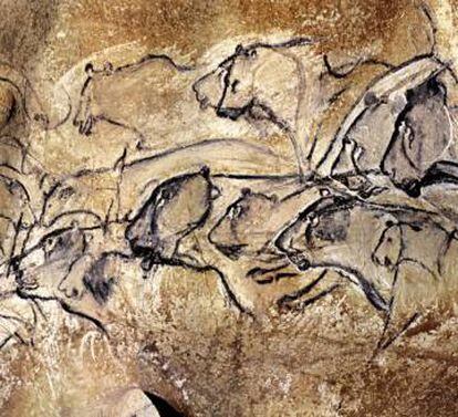 Los leones de la cueva de Chauvet.