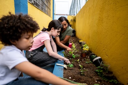 La cosecha del huerto es clave para hablar de nutrición y se puede aprender el vocabulario del huerto y el jardín en todos los idiomas impartidos en cada centro.