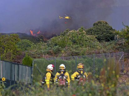 Bomberos en el incendio forestal que afecta a los municipios tinerfeños de Los Realejos y San Juan de la Rambla, ayer, jueves.