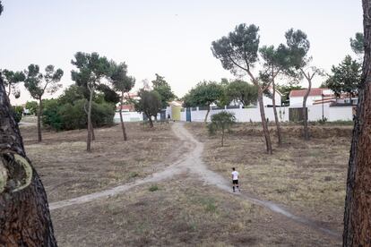 En los márgenes de la colonia, comunicando con Pozuelo, hay una zona de pinares y terraplenes por donde la gente sale a pasear o hacer ejercicio.