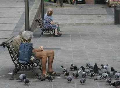 Un mayor sin hogar da de comer a las palomas en la plaza de Soledad Torres Acosta de Madrid.