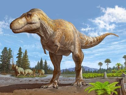 Ilustración de reconstrucción del Tiranosaurio Mcraeensis.