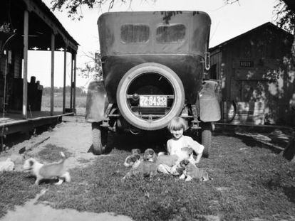 En Nebraska Willa Cather conoci&oacute; el duro destino de los creadores de un nuevo espacio americano. 