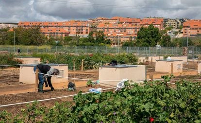 A la riba del riu Tormes, a Salamanca, hi ha més de 600 horts urbans. A més de proporcionar aliments als veïns, contribueixen a la recolonització vegetal i a apropar la biodiversitat.