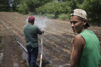 Agricultores de Esquipulas, Ometepe, regando sus tierras con el agua de su pozo, cada vez más seco.