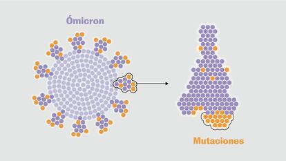 Ómicron: así es el “Frankenstein” del coronavirus que atemoriza al planeta