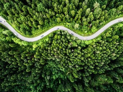 Vista de dron de una carretera de la Selva Negra, la gran masa forestal situada en el Estado de Baden-Wurtemberg, al suroeste de Alemania. 